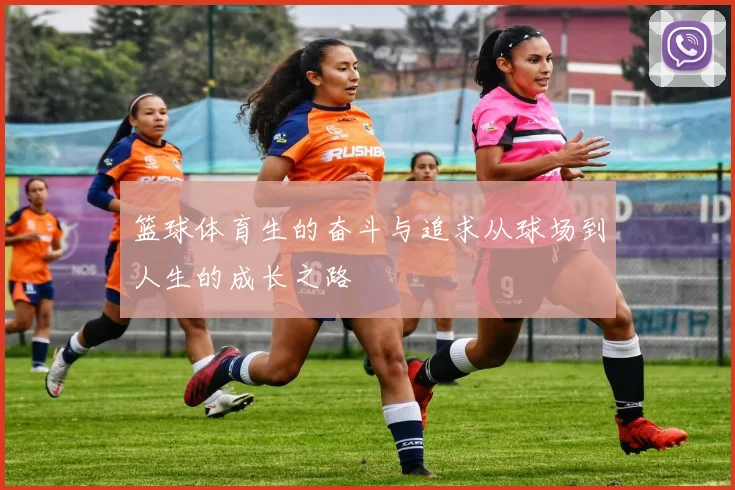 篮球体育生的奋斗与追求从球场到人生的成长之路