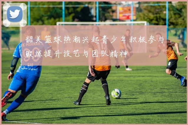 韶关篮球热潮兴起青少年积极参与锻炼提升技艺与团队精神