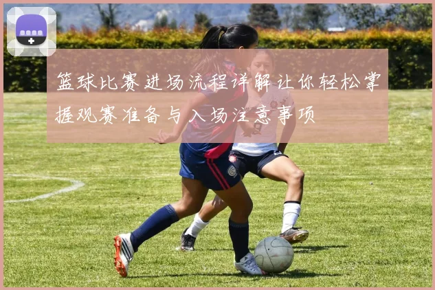 篮球比赛进场流程详解让你轻松掌握观赛准备与入场注意事项
