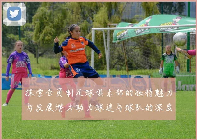 探索会员制足球俱乐部的独特魅力与发展潜力助力球迷与球队的深度互动