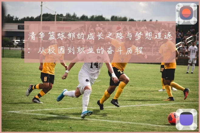 清华篮球邹的成长之路与梦想追逐：从校园到职业的奋斗历程