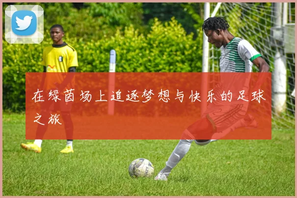 在绿茵场上追逐梦想与快乐的足球之旅